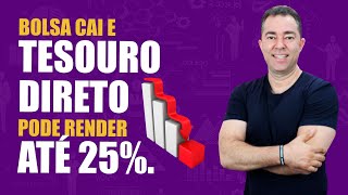 Tesouro Direto dispara, após queda da Bolsa. Excelência no Bolso