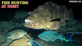 NIGHT SPEARFISHING EPISODE 123 | FISH HUNTING AT NIGHT