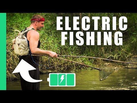 Electric Fishing in Vietnam! 