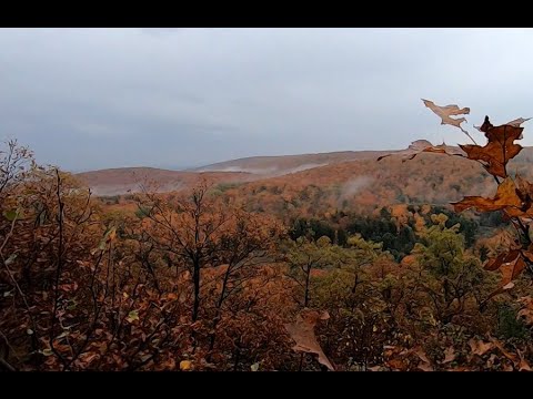 The Wolf Trail & the Importance of Gatineau Park - YouTube