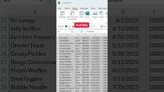 Celebrity How to Summarize Large Datasets with PivotTables in Excel Net Worth