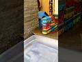 Tayo the Little Bus #toys #tayo #shorts