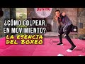Descargar Aprende a Golpear en Movimiento: La esencia del Boxeo - VITERI BOXING Descargar Aprende a Golpear en Movimiento: La esencia del Boxeo - VITERI BOXING