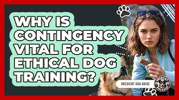 Why Is Contingency Vital For Ethical Dog Training? - Obedient Dog Guide