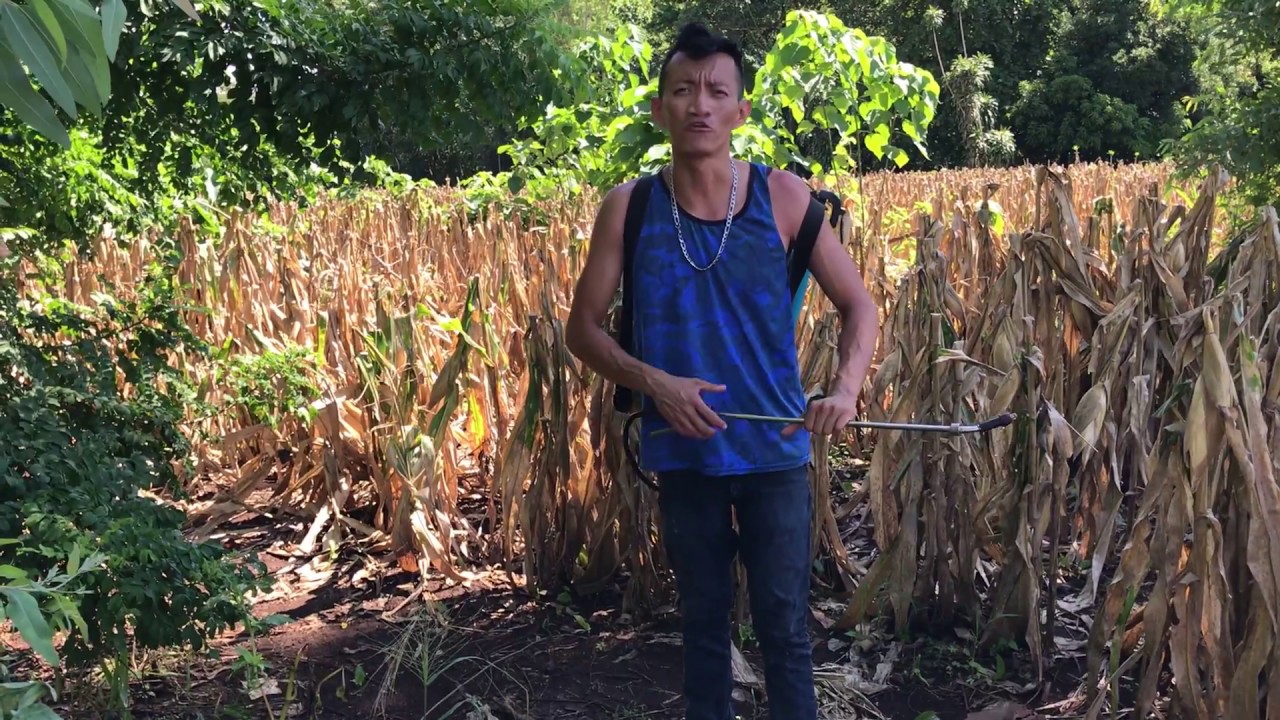 camera iphone 8 plus apk Sacando UN día MÁS de TRABAJO 👷♂️ como Un CAMPESINO