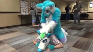 Furry Gangdam Style