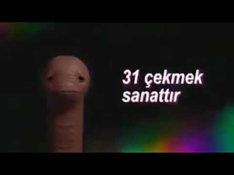 Erkekler neden 31 çeker