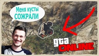 картинка: ДЖО СОЖРАЛИ КУСТЫ/СТРёМНАЯ НАРЕЗКА