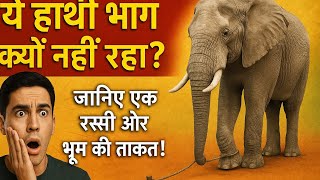 Information Why Isn't This Elephant Running Away | A Motivational Story That Will Change Your Thinking! Guide