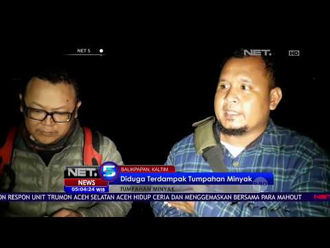 Video: Jumlah Kematian Lumba-lumba Dari Tumpahan Minyak BP Jauh Lebih Tinggi Dari Perkiraan