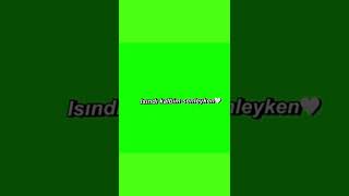 Nasılsın Aşkta? Yeşil Ekran Lyrics Şartlar Açıklamada