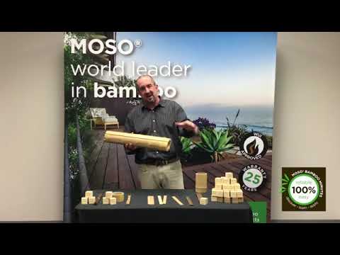 MOSO Minutid - Episood 2 - Töötlemine