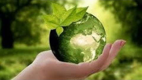 سورة الفتح , الشيخ عبد الولي الأركاني