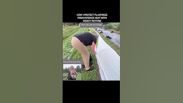 Insect netting offers less heat retention and greater durability than row cover