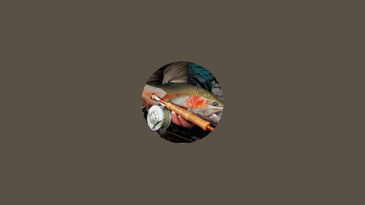 Traseu Pitești Ștefănești Argeș Live 5-03-2026