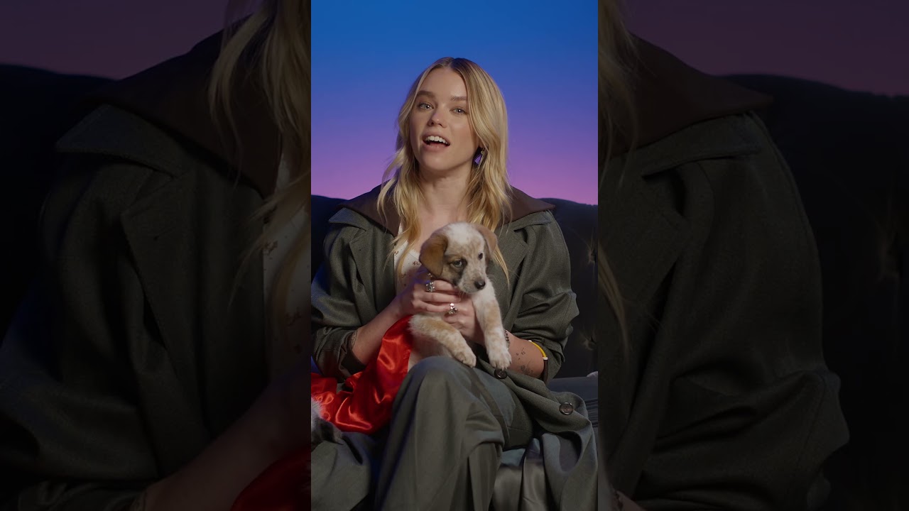 Out-of-this-world cuteness! Watch #PuppyBowl Sunday at 2pm ET | 11am PT on Animal Planet