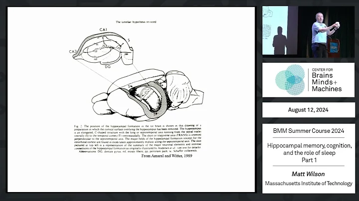 Hippocampal memory, cognition, and the role of sleep - part 1