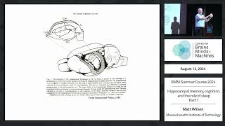 Hippocampal memory, cognition, and the role of sleep - part 1