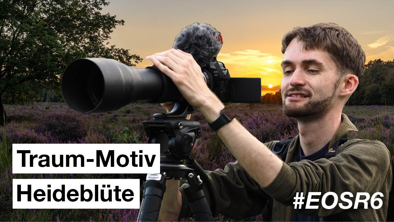 HEIDE fotografieren - Landschaftsfotografie im Sommer | Mit der Eos R6