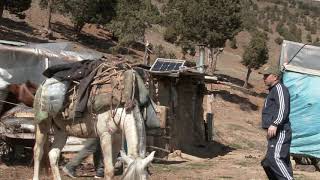 Artvin Teke Avı Asım Bayburt