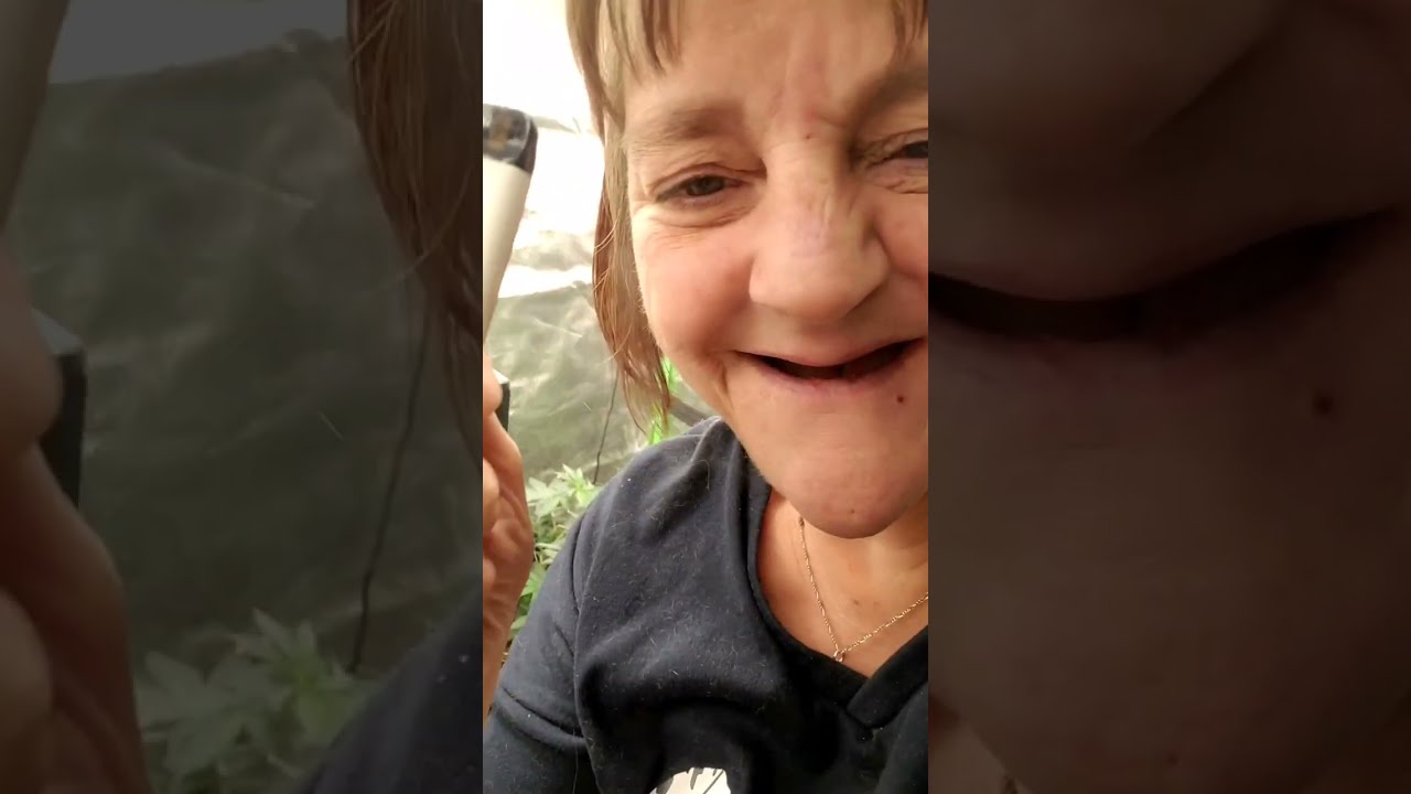 living the high life song boomer learning to grow series 