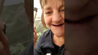 living the high life song boomer learning to grow series #tokesntunes #growerslove #518canna