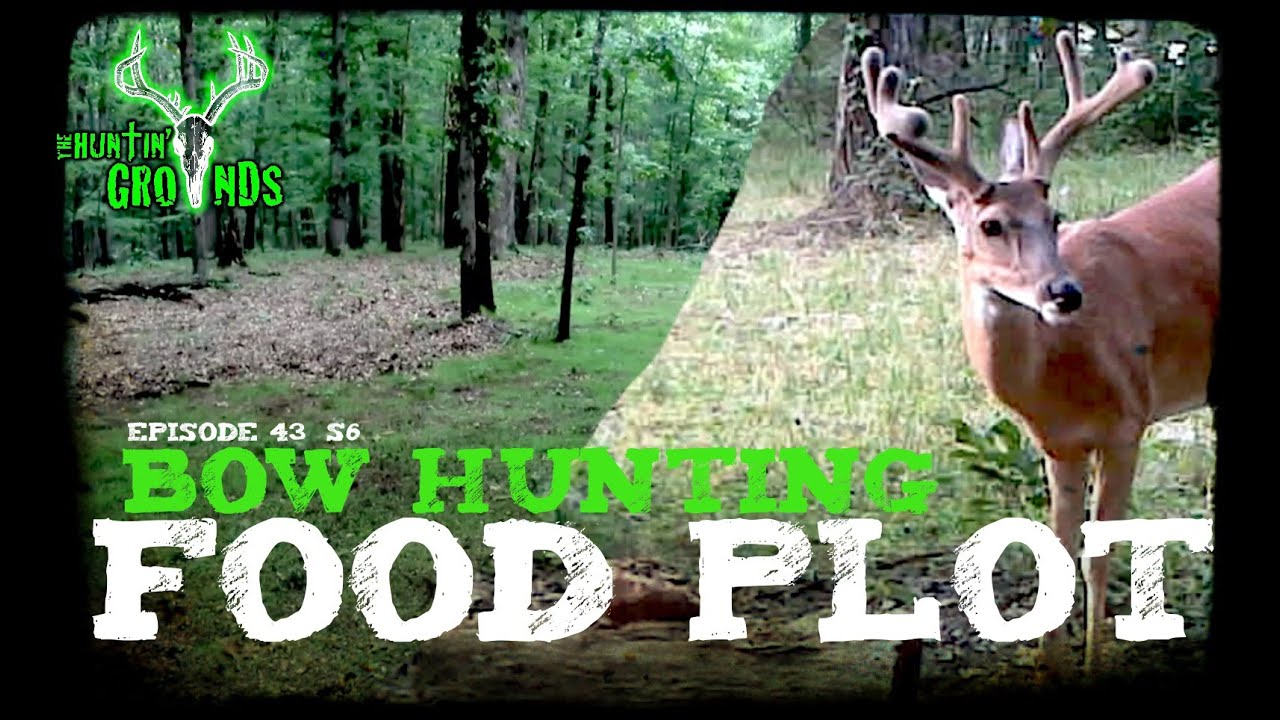 Food Plots For Bow Hunting Kill Plot Update S6 15 YouTube