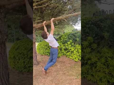 Types of people after muscle ups