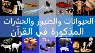 الحيوانات + الطيور + الحشرات المذكورة في القرآن الكريم