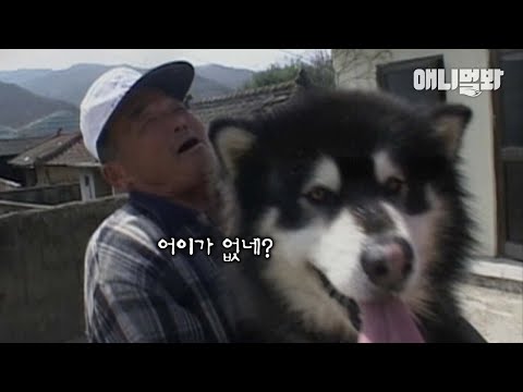 시골로 귀촌한 말라뮤트가 하게 된 황당한 일ㅋㅋㅣFunny Thing Happened To A Malamute Who Moved To The Countryside