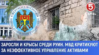 Заросли и крысы среди руин. МВД критикуют за неэффективное управление активами