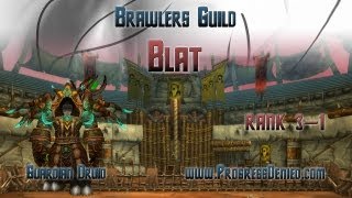 Brawlers Guild Rank 3 Fight 1 - Blat - Guardian Druid PoV