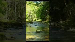 Deep Sleep Music #relaxingmusic #relax #music #meditationsounds #calmingscenery #stressrelief