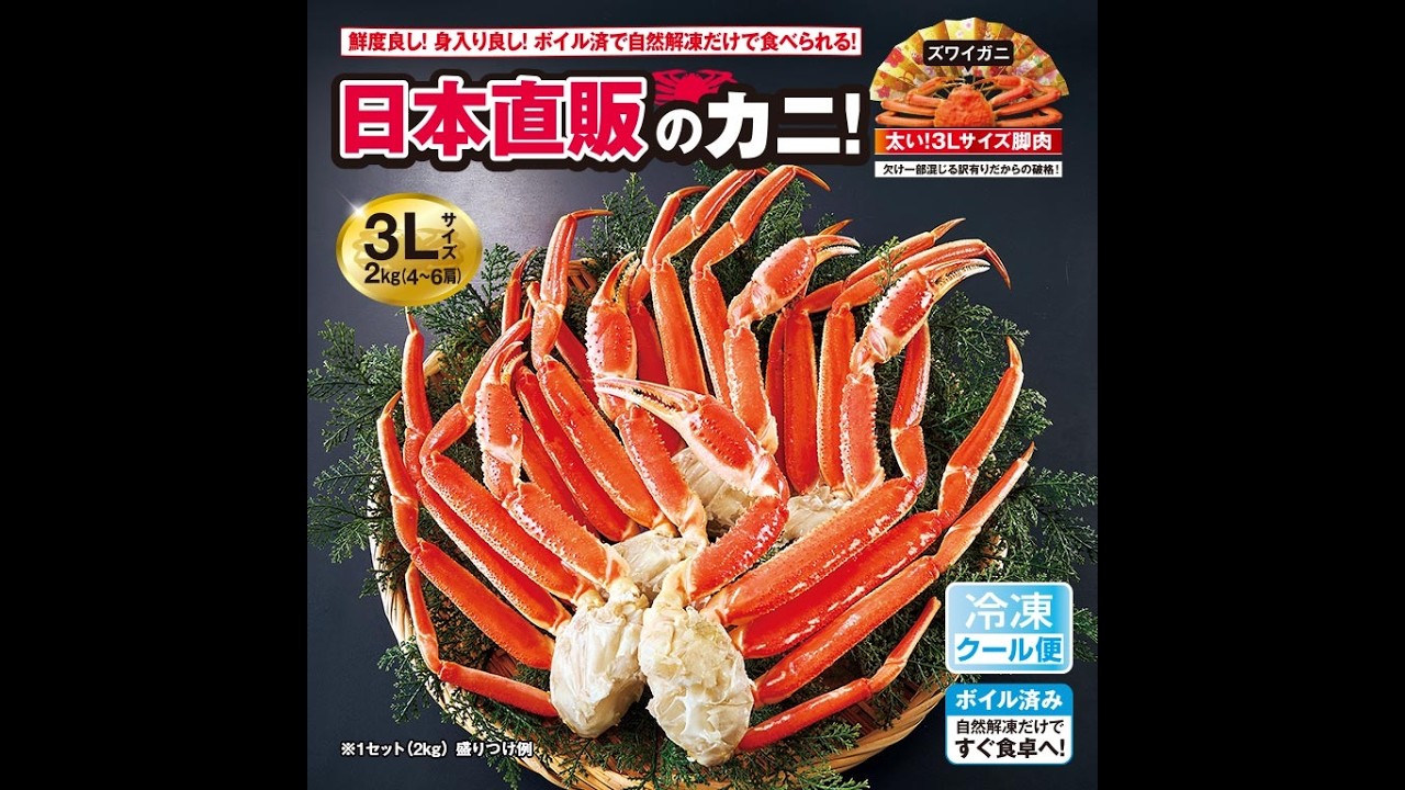 直送】 太い！3Lサイズ本ズワイ脚肉ボリュームセット 1セット 2kg