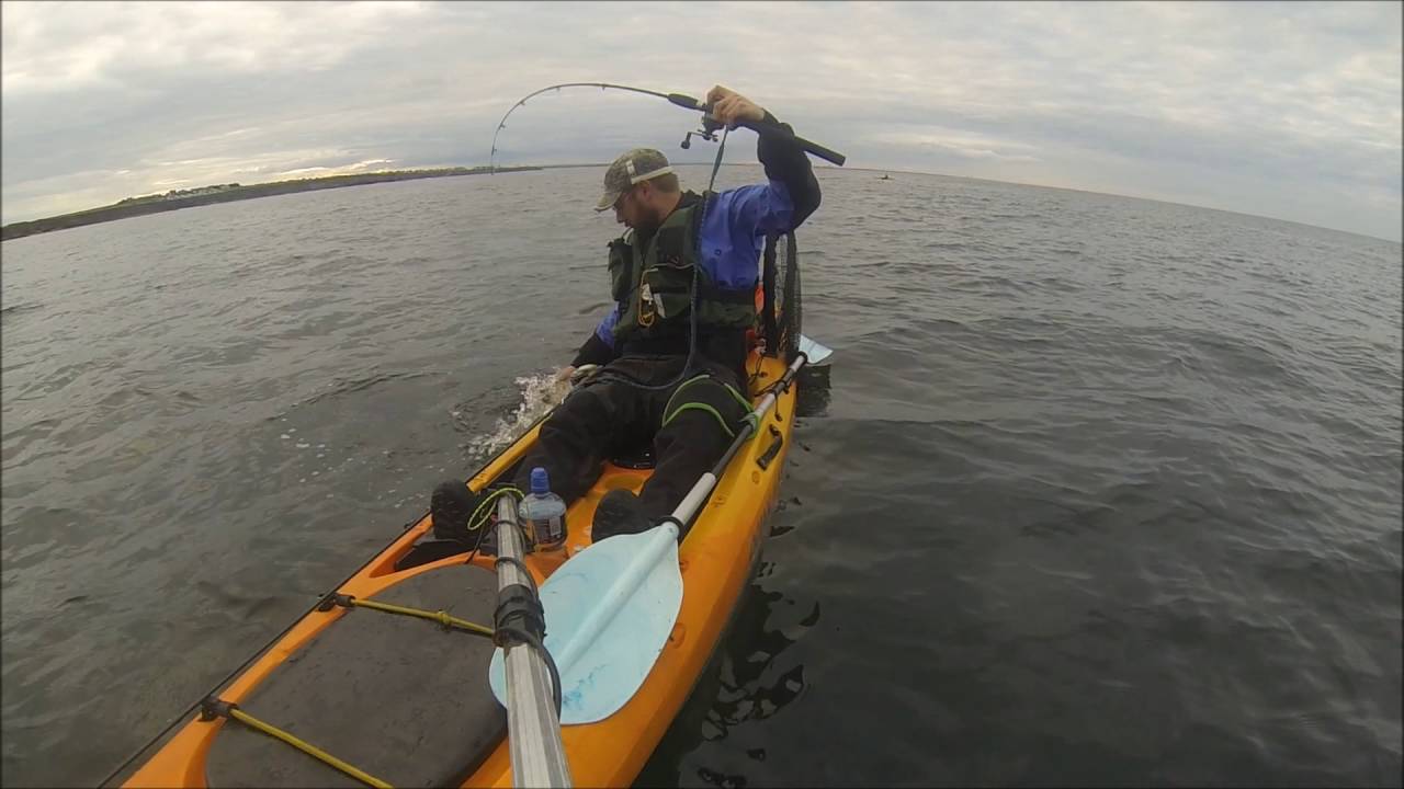 Sea Fishing UK Kayak Fishing UK Whitley Bay 13/07/16 YouTube