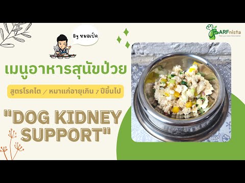 ตัวอย่างอาหารสำหรับสุนัขป่วย สูตรโรคไต / หมาแก่อายุเกิน 7 ปีขึ้นไป | สอนทำอาหารสุนัขโดยหมอเป็ด