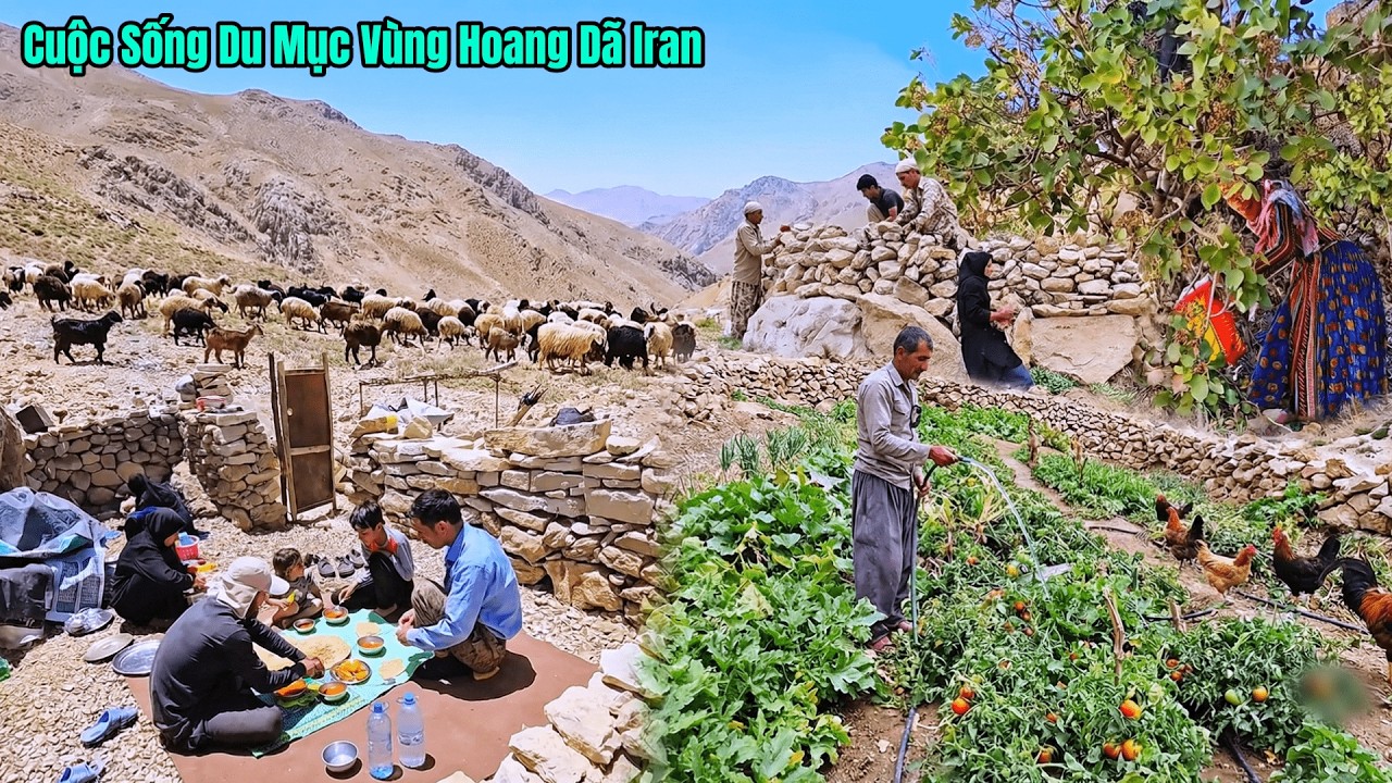 Cuộc Sống Du Mục Iran - Trồng Cây Hái Quả Dại - Chăn Cừu Mua Máy Phát Điện