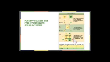 OpenStax Biology 2e Ch 12 Part 02 Bio 181