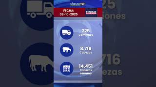 MAG Ingresos 08-10-25