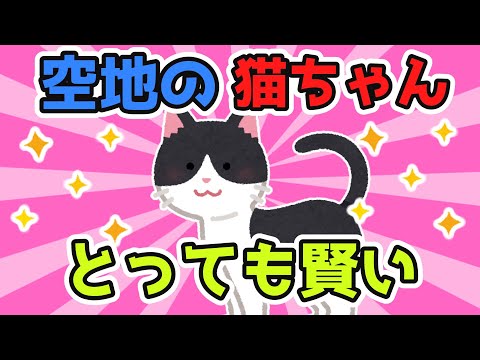空地の猫「にゃーん」→私「（あの賢い猫しばらく見かけないなぁ…心配）」【2ch面白スレ/ほのぼのスレ】【ゆっくり解説】