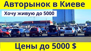 Авторынок Киева! Цены на авто до 5000 USD. Автобазар в Киеве. Ищем недорогую | Ноябрь 2020