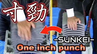 【寸勁】OKINAWA KARATE SKILL One inch punch | Kiyoshi yogi from YOGIkaikan okinawa ブルース・リーも使った超近距離空手技