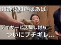 【人獣】88歳認知症ばあばと34歳こどおじ孫二人暮らし【ラグドール】【ハゴロモセキセイインコ】
