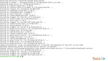 Dockerization - Do more with Docker : What’s Wrong with the Traditional Way?  | packtpub.com