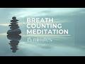 Breath Counting Meditation | 15-Minute Guided Mindfulness Practice for Beginners