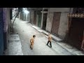 سباق الابطال حماده سبق عماد