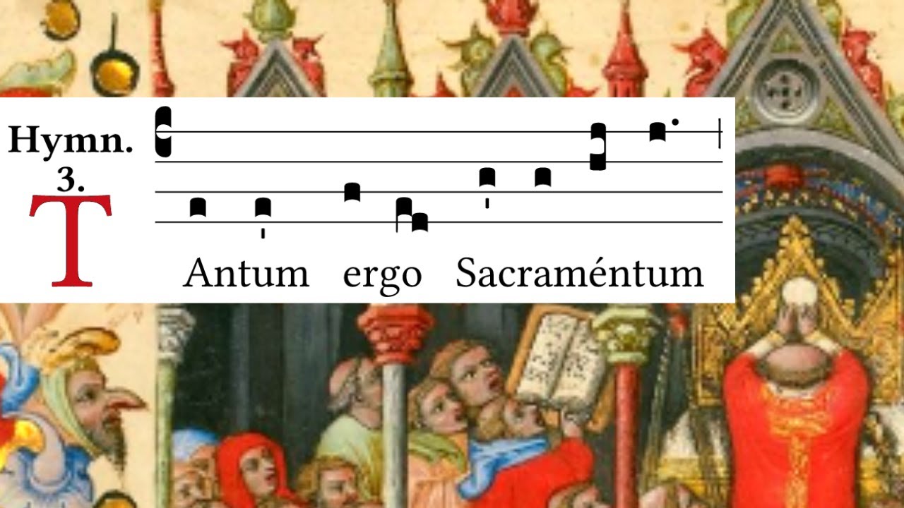 Tantum Ergo Testo Latino E Italiano Tantum ergo - Latin Gregorian Chant Eucharistic hymn - YouTube