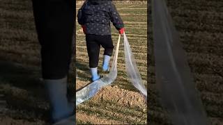 Smart Reusable Irrigation System Using PVC Pipe 💧🔥#shorts