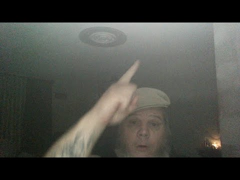 pythons for sale Late Night With Andrew (DEA)