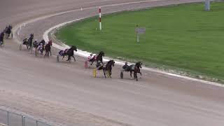 Eldorado Scioto Downs Qualifier #7  May 20, 2020